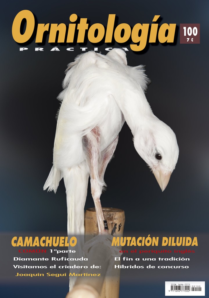 Portada de Ornitología Práctica número 100