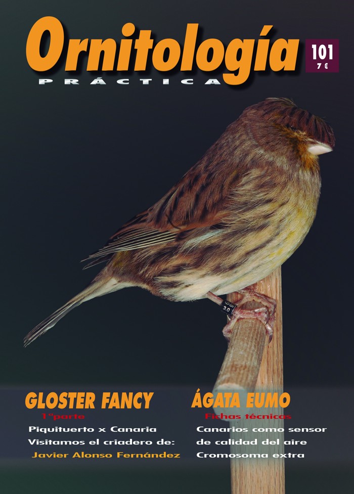 Portada de Ornitología Práctica número 101