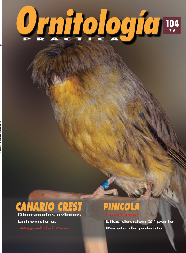 Portada de Ornitología Práctica número 104