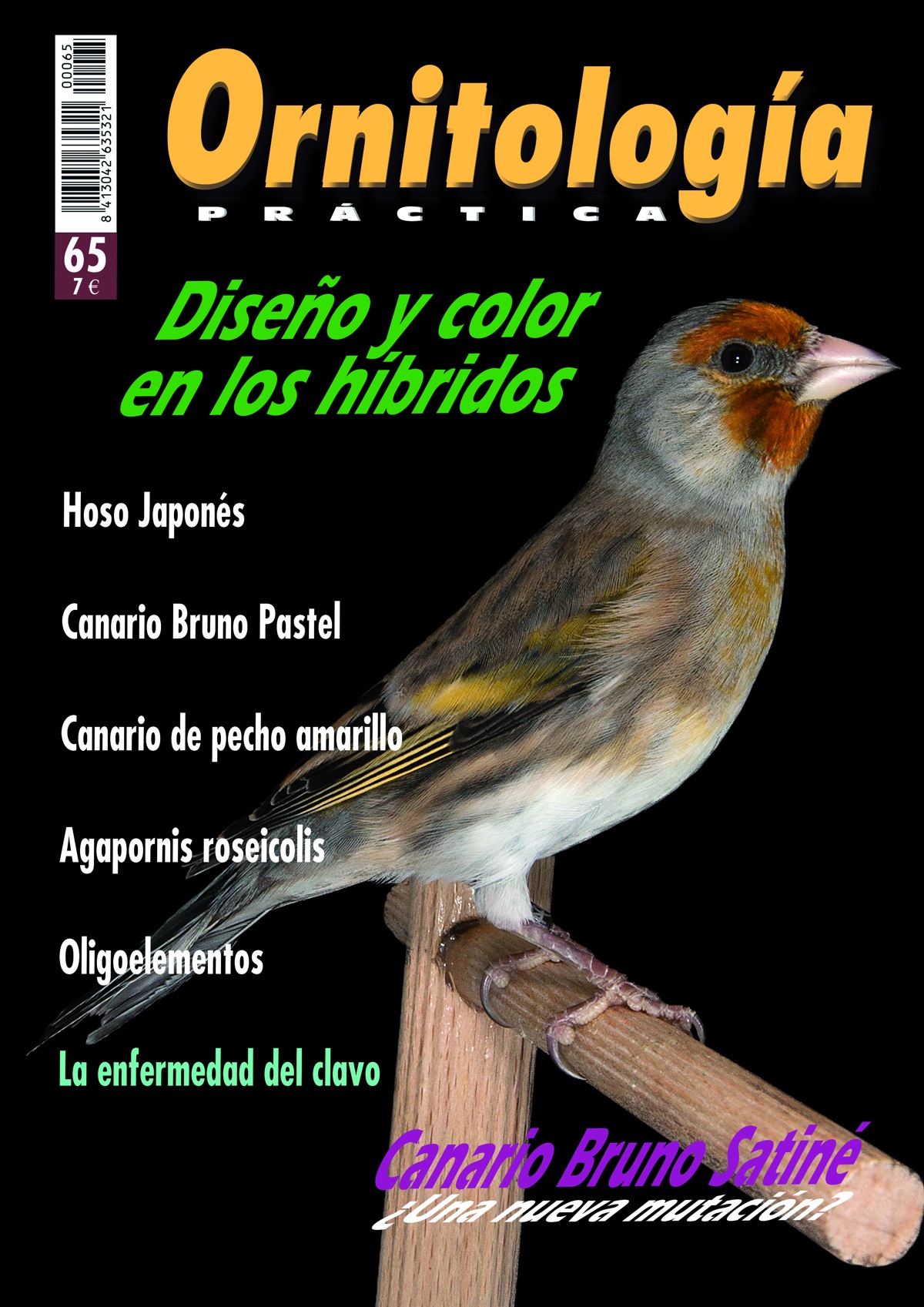 Portada de Ornitología Práctica número 65