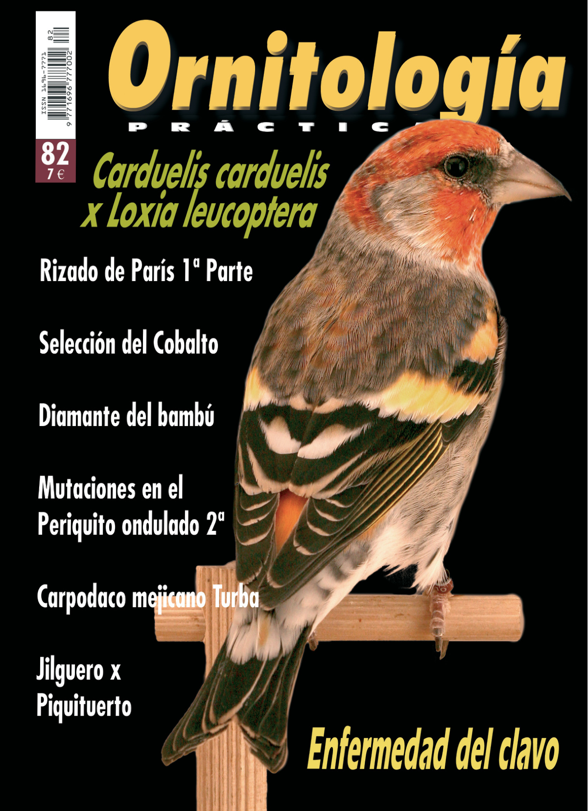 Portada de Ornitología Práctica número 82