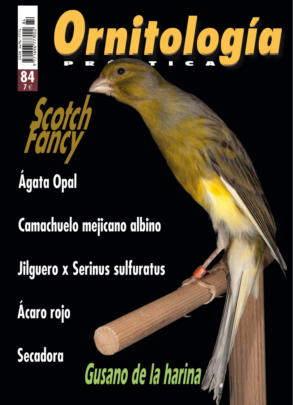 Portada de Ornitología Práctica número 84