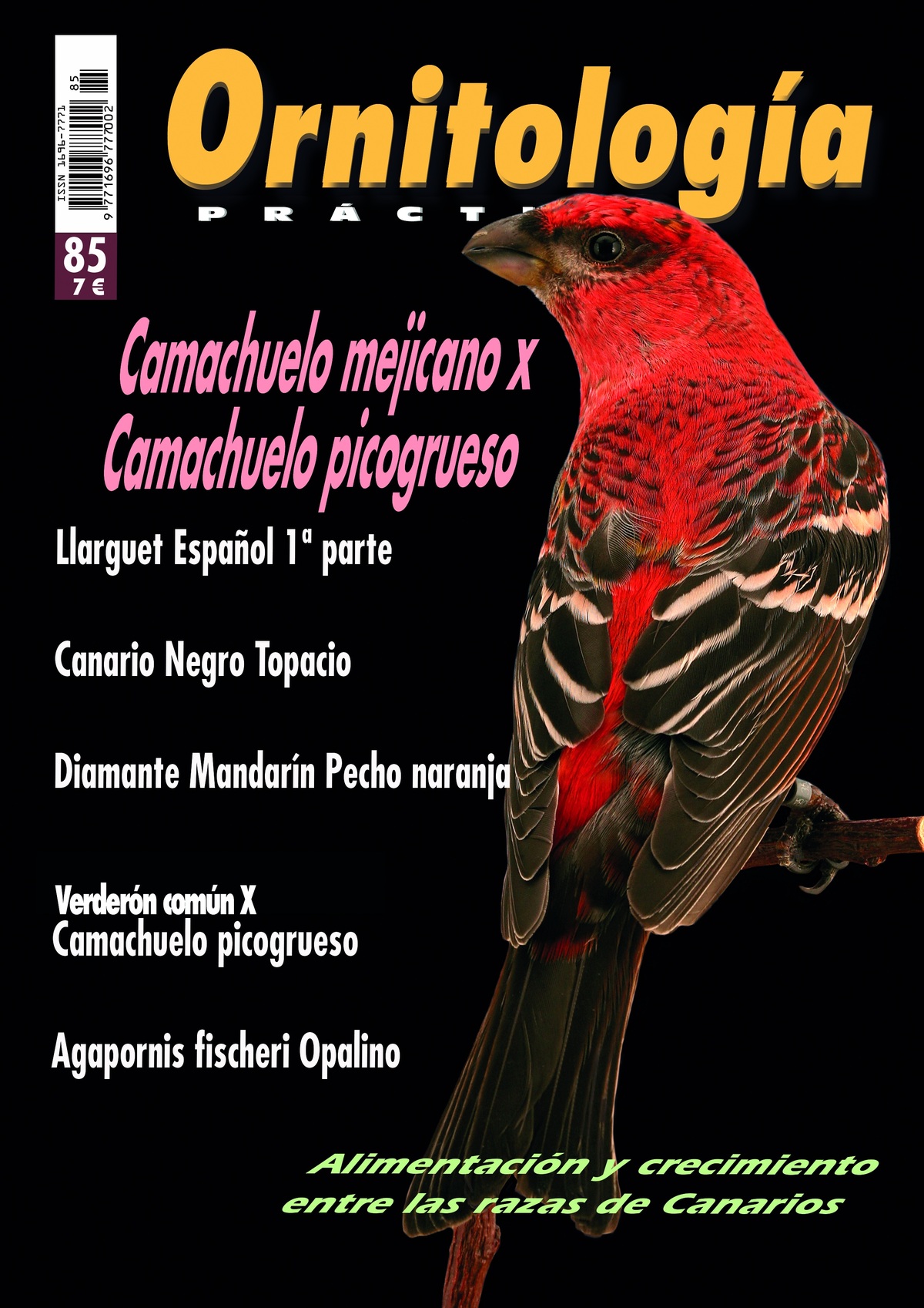 Portada de Ornitología Práctica número 85