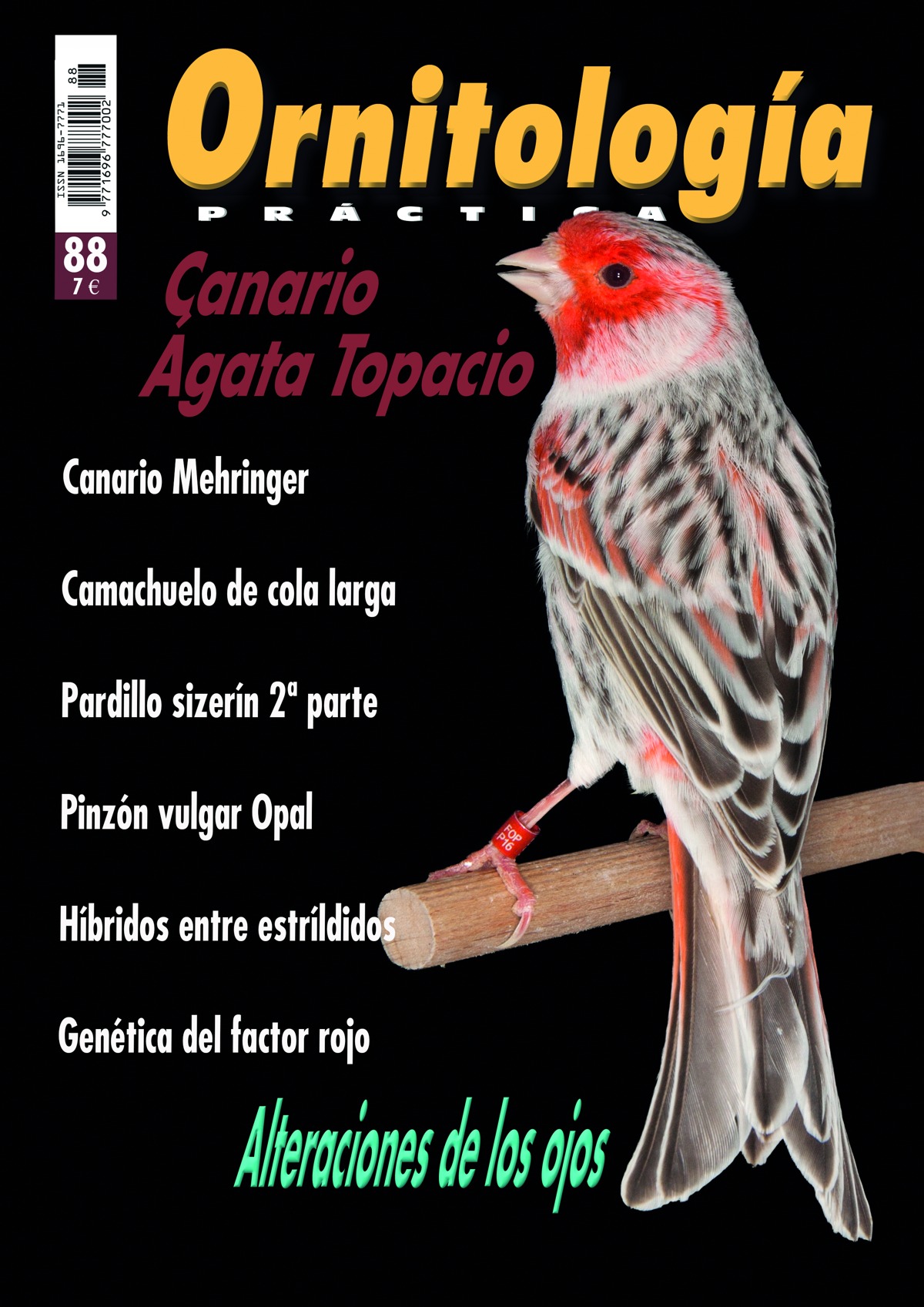 Portada de Ornitología Práctica número 88